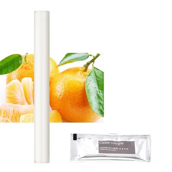 Bâtons Aromatiques pour Désodoriser la Voiture